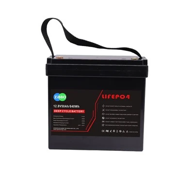 BATERIA 12V 50AH Li-FePO4 amb BMS